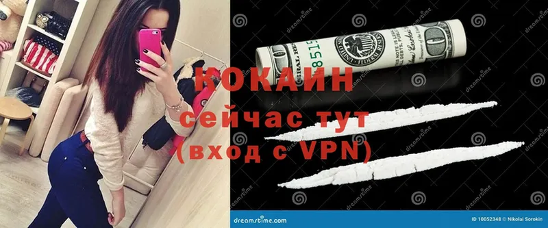 Cocaine Эквадор  Губкин 